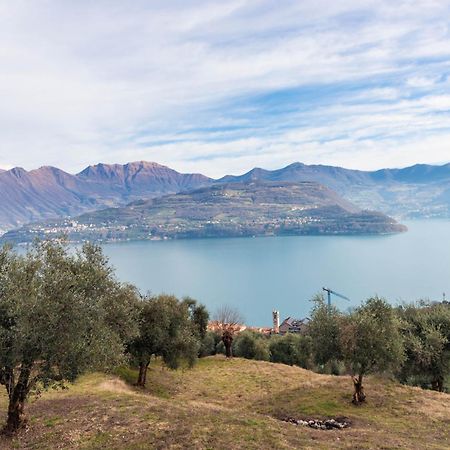 Residenza Coccinelle Vista Lago D'Iseo Tavernola Bergamasca Ngoại thất bức ảnh