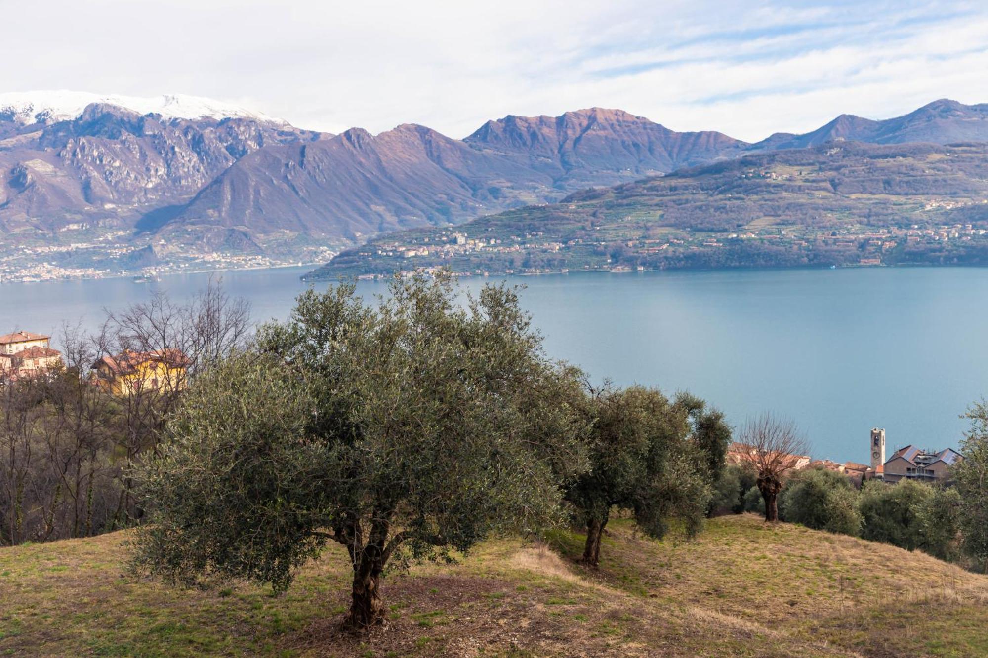 Residenza Coccinelle Vista Lago D'Iseo Tavernola Bergamasca Ngoại thất bức ảnh